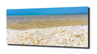 obraz na szkle Wakacje muszle niebo plaża