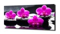 31299