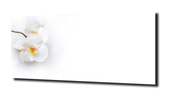 obraz na szkle, panel szklany Orchidea 64