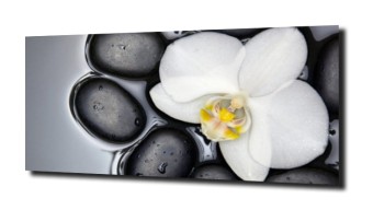 obraz na szkle, panel szklany Orchidea 69