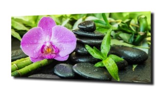 obraz na szkle, panel szklany Orchidea 71