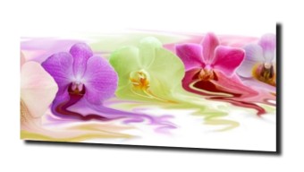 obraz na szkle, panel szklany Orchidea 72