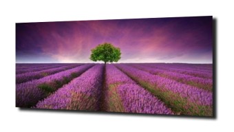 obraz na szkle, panel szklany Lawenda 7