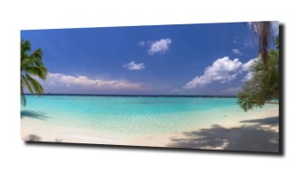 obraz na szkle Palmy plaża ocean i niebo