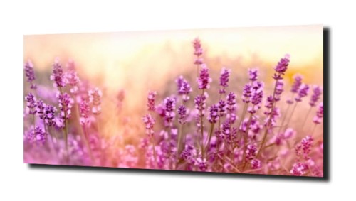 34541