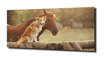obraz na szkle, panel szklany Koń i pies