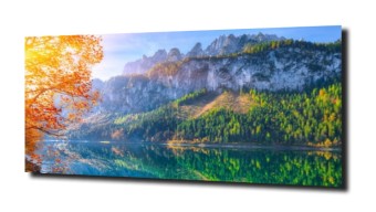 obraz na szkle, panel szklany Drzewa 67