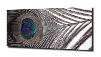 obraz na szkle Abstrakcja pióro paw 105