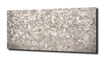 obraz na szkle Abstrakcja struktura 149