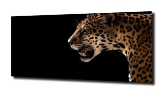 obraz na szkle, Panel szklany Jaguar 1