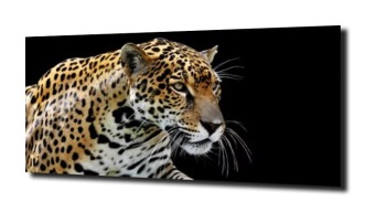 obraz na szkle, Panel szklany Jaguar 3