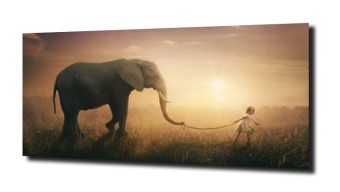 obraz na szkle Słoń dziewczynka natura