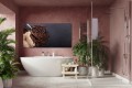 44267