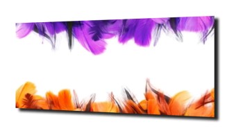 obraz na szkle Abstrakcja pióra XL 45