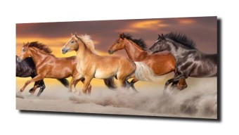 obraz na szkle, Panel szklany Konie