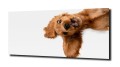 48310