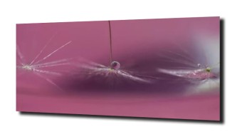 obraz na szkle Abstrakcja kwiaty 108