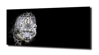 obraz na szkle Zwierzęta gepard kot