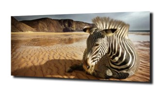 obraz na szkle Zebra jezioro Afryka