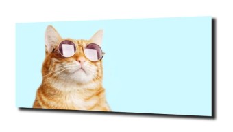 obraz na szkle Kot śmieszny okulary