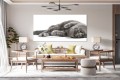 51021