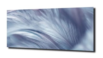 obraz na szkle Abstrakcja pióro  49