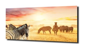 obraz na szkle Zebra zachód słońca