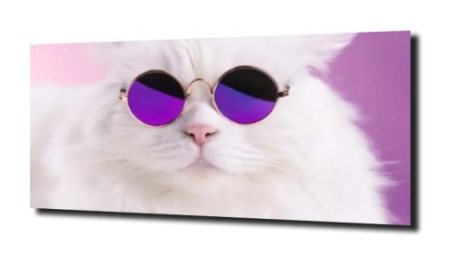 53543
