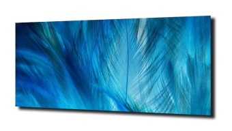 obraz na szkle Abstrakcja pióro 30