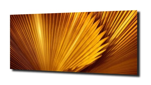 54204