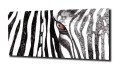 rysunek-zebra-oczy-zd1