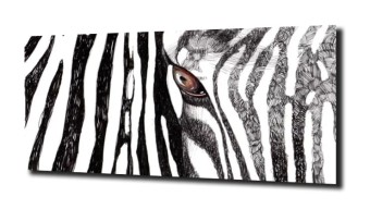 obraz na szkle Zebra rysunek oczy