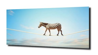 obraz na szkle Zebra niebo spacer