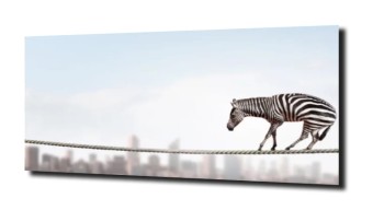 obraz na szkle Zebra nad miastem