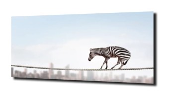 obraz na szkle Zebra nad miastem