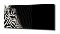 58062