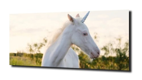 58520