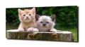 60142