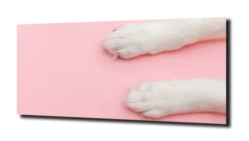 60184