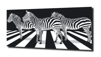 obraz na szkle Zebra na pasach