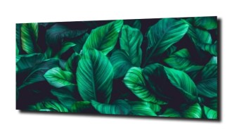 obraz panel szklany Liście 3