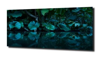 obraz panel szklany Liście 4