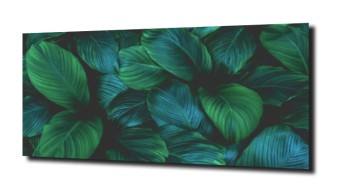 obraz panel szklany Liście 6