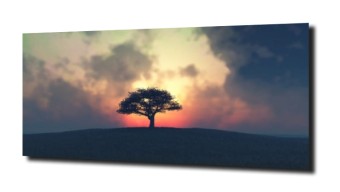 obraz panel szklany Drzewa 1