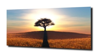 obraz panel szklany Drzewa 2