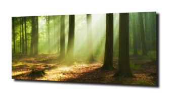 obraz panel szklany Drzewa 5