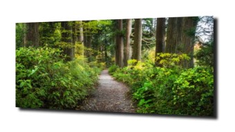 obraz panel szklany Drzewa 7