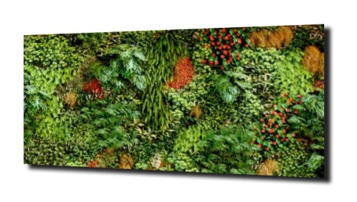 65549