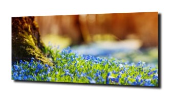 obraz na szkle, panel szklany Kwiatki polne