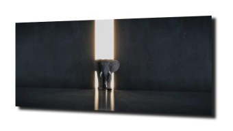 obraz na szkle, panel szklany Słoń światło